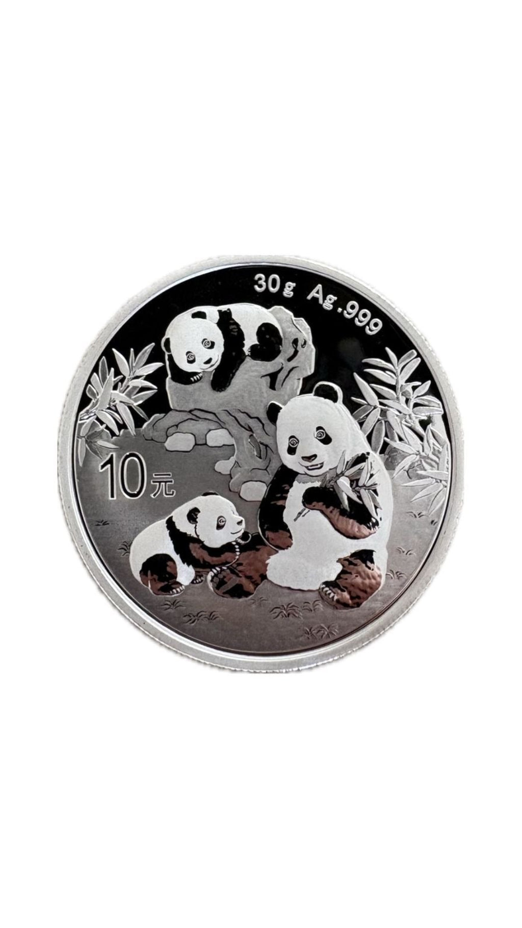 2025 Chinese 30g Panda Silver Bullion Coin Buy 2025
