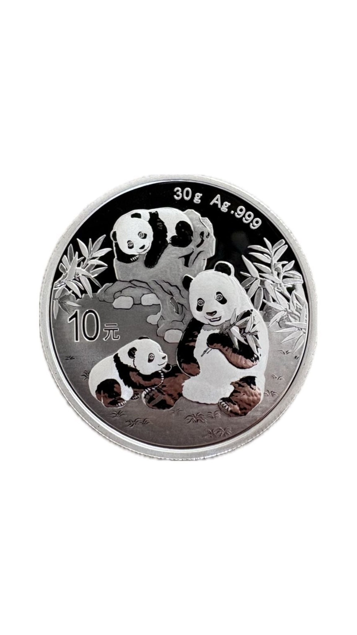 2025 Chinese 30g Panda Silver Bullion Coin Buy 2025