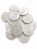 1 oz American Silver Eagle Coin .999 Fine Silver Bullion | Best Value
